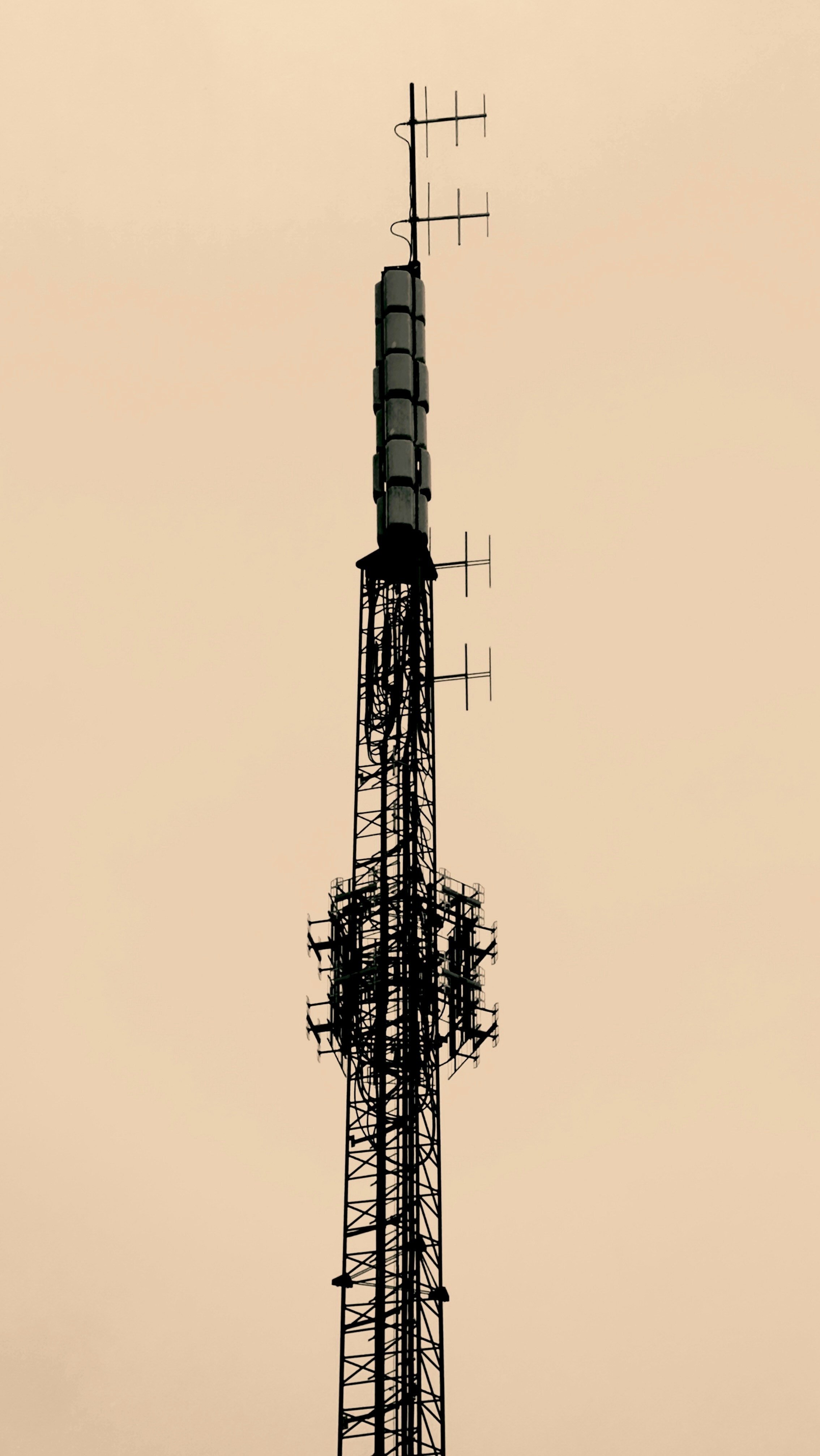 Cellular Boosters services background